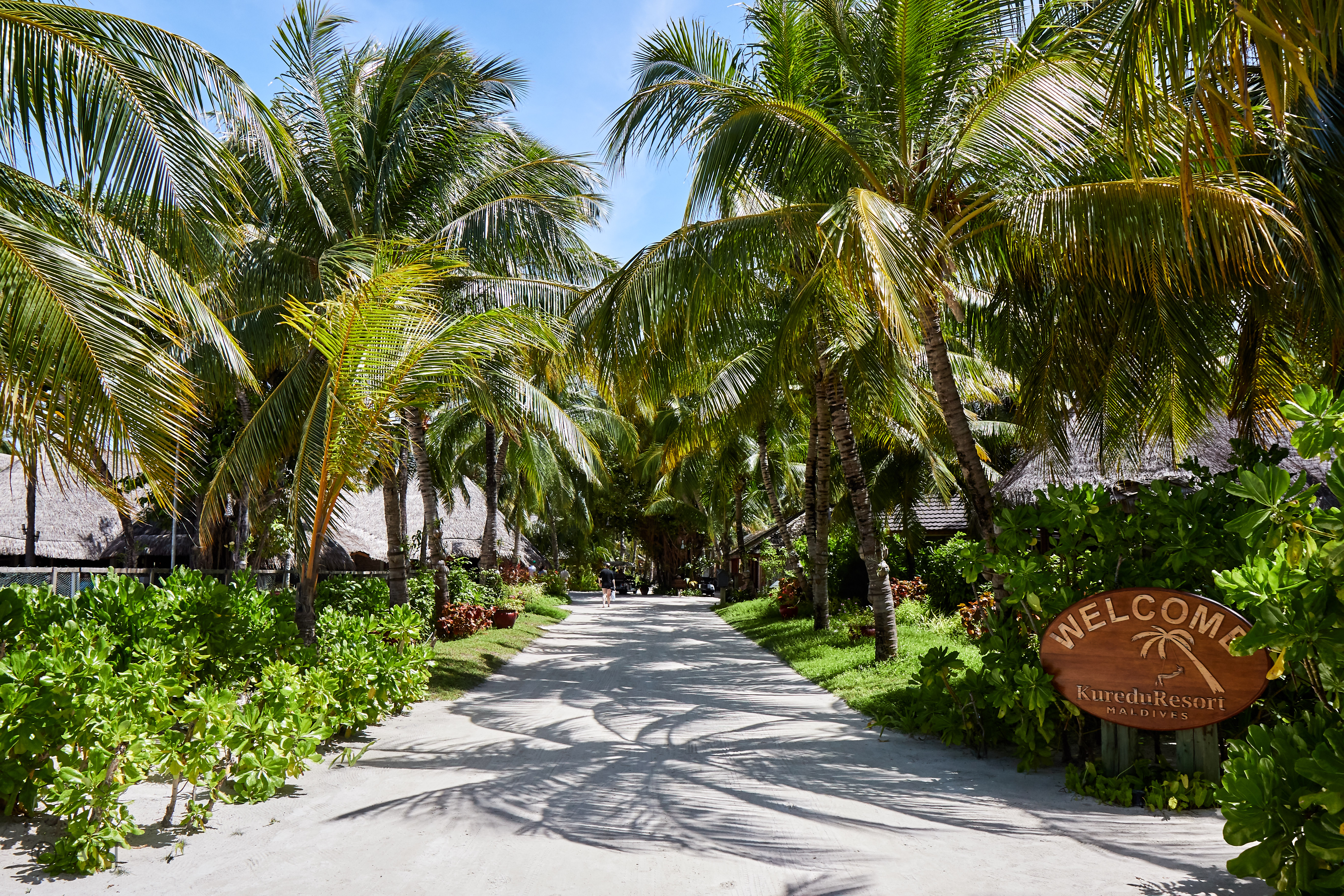 003912 21 08 17  Canon EOS 7D Mark II   Malediven2017